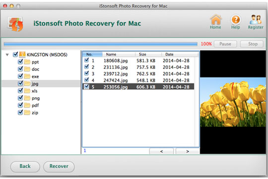 choose the file which you want to recover